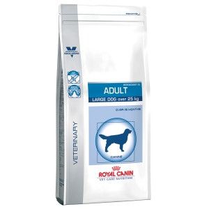 VHN LARGE DOG DRY 4KG