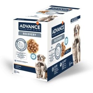 Advance Veterinary Diets Dog & Cat Recovery, 11x100 g (Diete Veterinare - Caini)