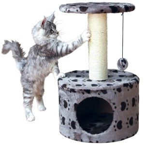 Ansamblu Toledo 61H/cm Gri cu Labute 43705