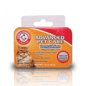 RECOMPENSE PISICA ARM&HAMMER DENTAL MINTS 40 BUC