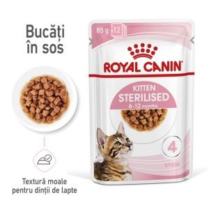 Royal Canin Kitten Sterilised hrana umeda pisica (in sos), 12 x 85 g - main
