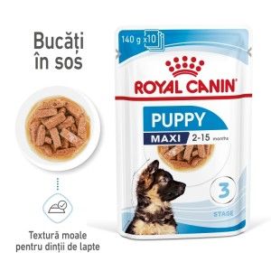 Royal Canin Maxi Puppy hrana umeda caine junior (in sos), 10 x 140 g - plicuri