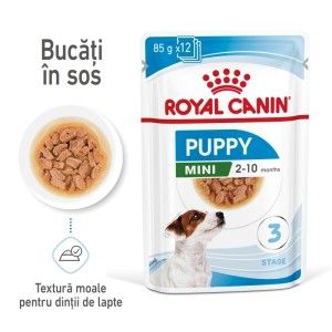 Royal Canin Mini Puppy hrana umeda caine junior (in sos), 12 x 85 g - main