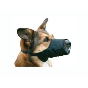 Botniţă caine nylon nr. 5 XL- PetMart Pet Shop Online