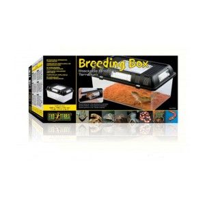 Terariu Plastic Hagen Exo Terra Breeding Box Medium