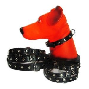 Zgarda Pet Expert Capse 2,0x50 Cm Negru Nr.5