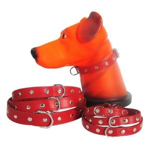 Zgarda Pet Expert Capse 1,4x37 Cm Rosu Nr.2