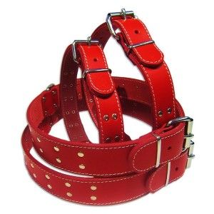 Zgarda Pet Expert Capse 3,5x70 Cm Rosu Nr.8
