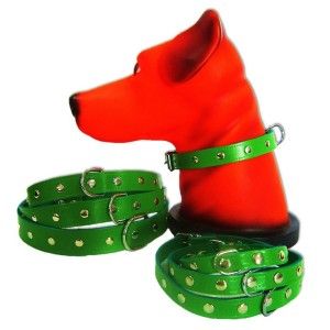 Zgarda Pet Expert Capse 1,2x33 Cm Verde Nr.1
