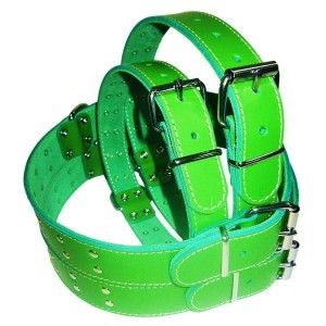 Zgarda Pet Expert Capse 4,0x78 Cm Verde Nr.9