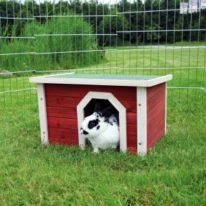 Casuta pentru Rozatoare 50x30x37 cm 62396