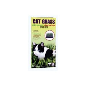 Hagen Iarba Pisica Cat Grass, 75 g