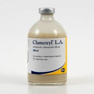 Clamoxyl LA 100 ml