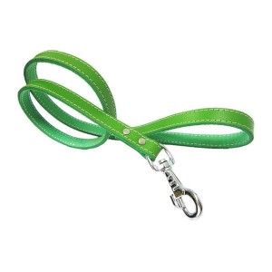 Lesa Pet Expert Clasic 1,8x110 Cm Verde Nr.4