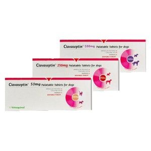 Clavaseptin 250 mg, 10 tablete