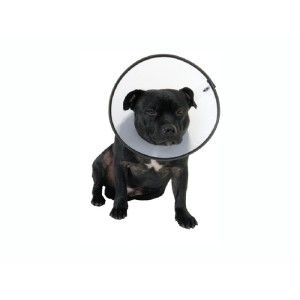 Kong Colier plastic câine 25cm
