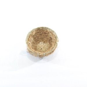 CUIB COCOS