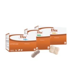 EFEX 10 mg 12x10 TB