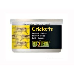 Hrana reptile Hagen Meniu Exo Terra Cricket Greiere XL 34 g