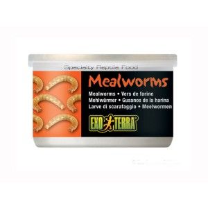 Hrana reptile Hagen Meniu Exo Terra Mealworms 34 g