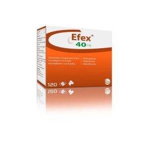Efex 40 mg, 120 comprimate masticabile (PRESCRIPTIE NECESARA)
