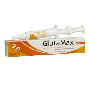 Glutamax  pasta 15 ml - supliment nutritiv