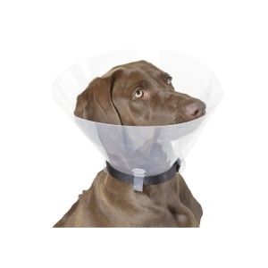 Guler Chirurgical 25cm/ K81117