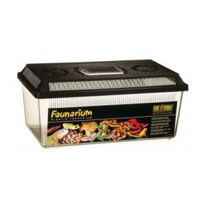 Terariu Plastic Hagen Exo Terra Faunarium Flat Large