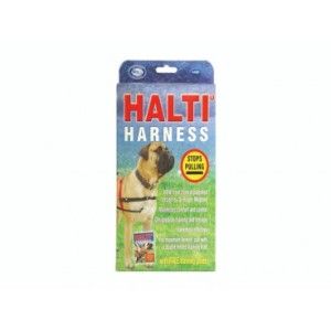 Halti ham caine