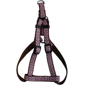 Ham Caini Nylon Buline Pink Click 20 mm x 40-70 cm