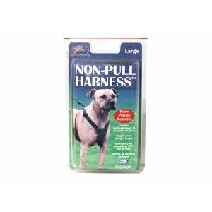 Halti ham caine strangulant large