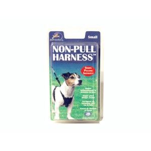 Halti ham caine strangulant small- PetMart Pet Shop Online