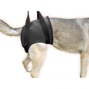Ham reabilitare spate, Julius K-9, XXL (112-124 cm)