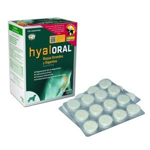 HYALORAL 120 tbl