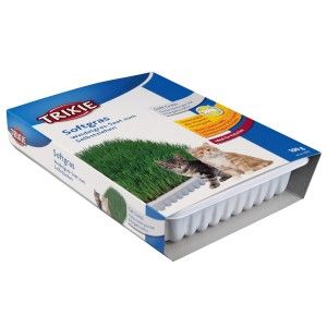 Iarba Bio 100 g Castron 4232