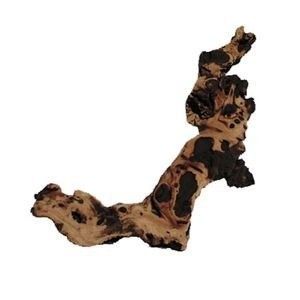 JBL Mopani Roots M (per pc) 20-35 cm