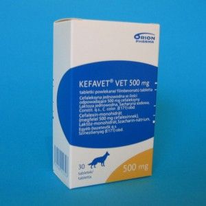 KEFAVET VET 500 mg x 30 cp