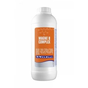 MAGNE B COMPLEX, Pasteur, solutie orala, 1 L (Farmacie)