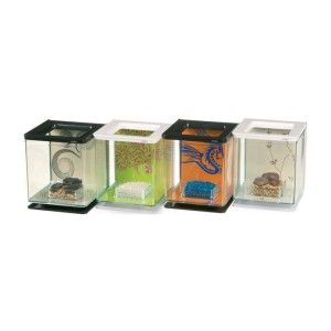Marina Betta Kit Zen