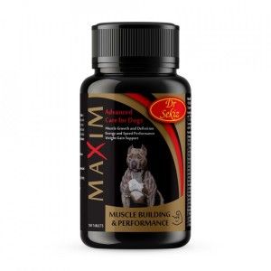 Supliment alimentar, Caini, Maxim, 100 tablete/ 100 g (Farmacie)
