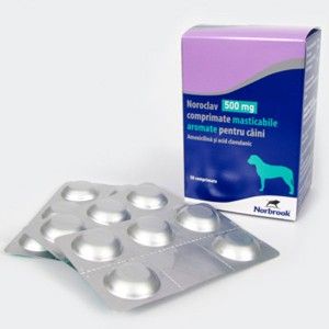 Noroclav 500 mg x 5 TABLETE MASTICABILE