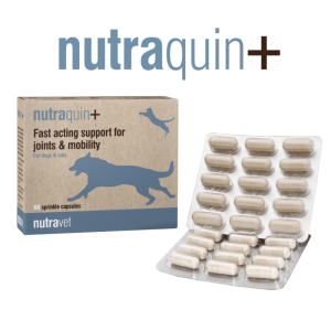 NUTRAVET NUTRAQUIN+ 60 cps - câini și pisici