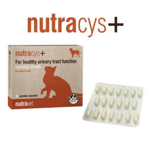 NUTRAVET NUTRACYS+ (NUTRAEASE) 20 cps - câini și pisici