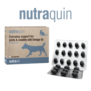 NUTRAVET NUTRAQUIN 45 cps - câini și pisici