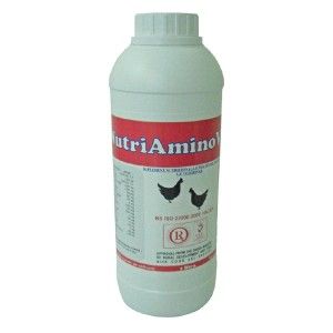NUTRI AMINOVIT 20 1 L