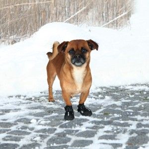 Pantof Impermeabil Robust XS 2 bucati Negru 19460