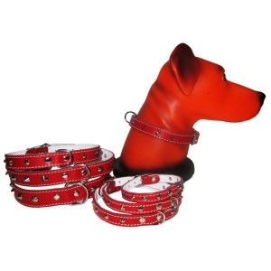 Zgarda Pet Expert Pasla/ tinte 1,0x27cm Rosu Nr.0
