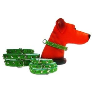Zgarda Pet Expert Pasla/tinte 2,5x55 Cm Verde Nr.6