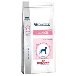 Royal Canin Pediatric Junior Large Dog 1kg