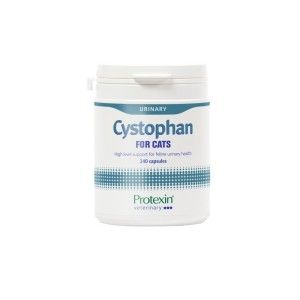 PROTEXIN CYSTOPHAN 240 capsule